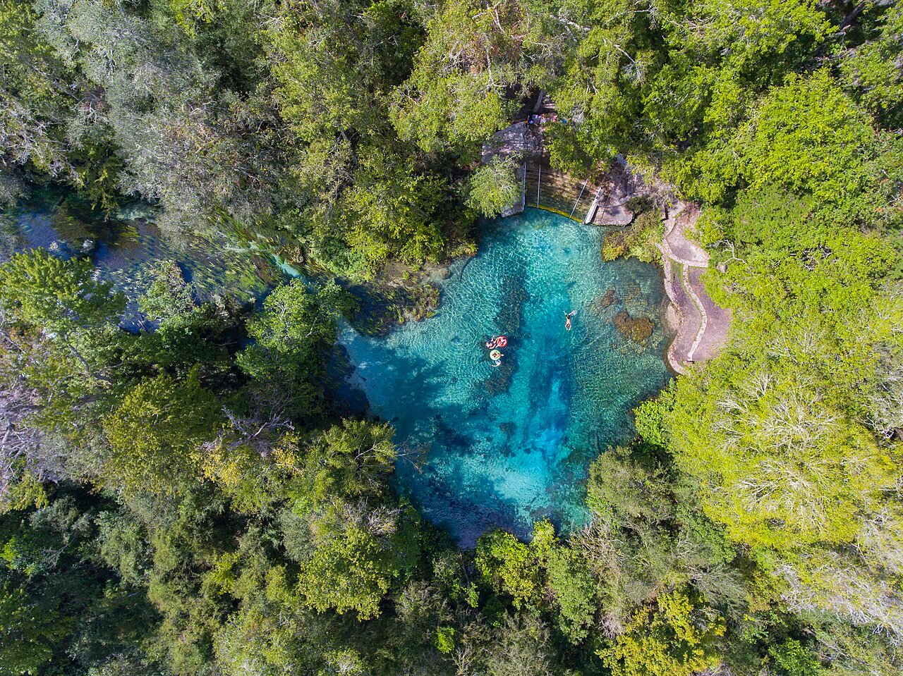 Ichetucknee Springs State Park in Florida, crystal-clear blue spring surrounded by lush green forest with people swimming and tubing