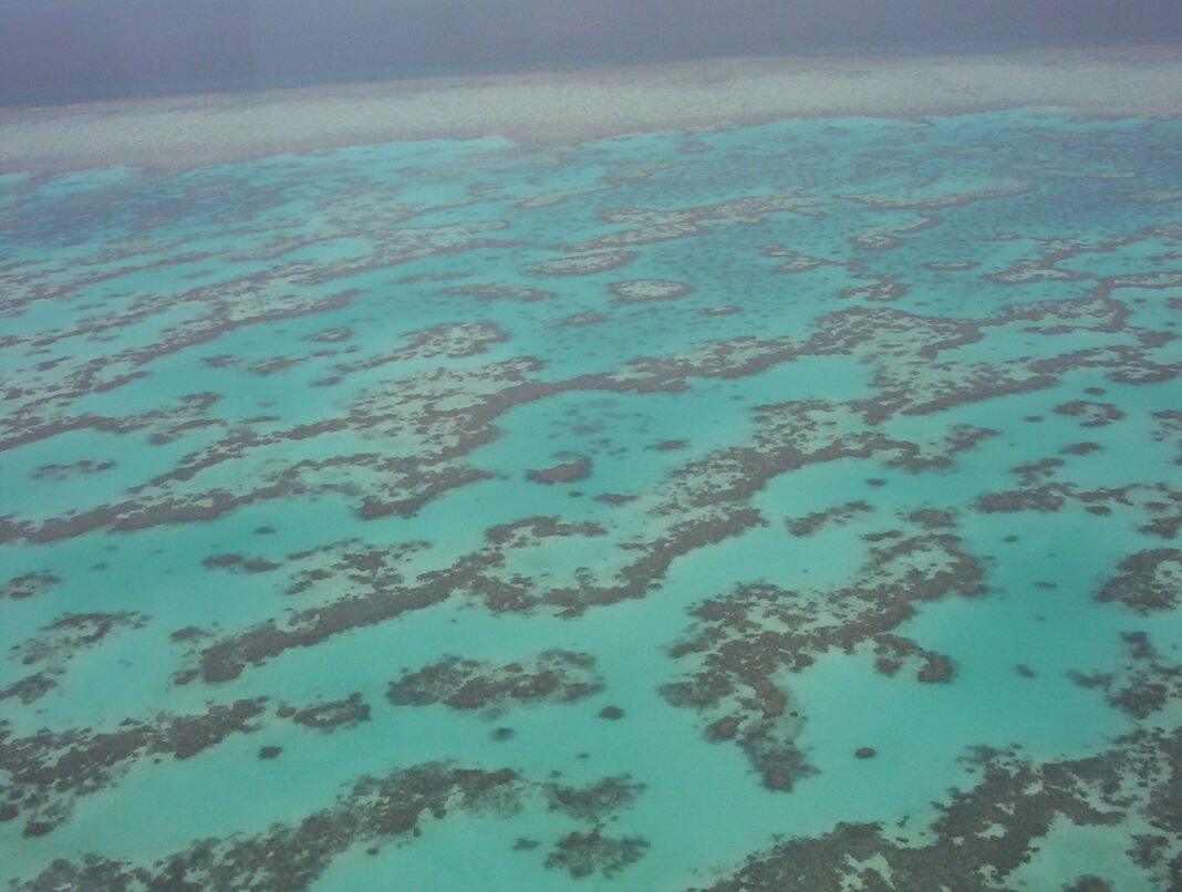 Cairns and Tropical North Queensland Complete Guide Aerial view of the Great Barrier Reef off Cairns, Tropical North Queensland, Australia - turquoise coral formations seen from a helicopter