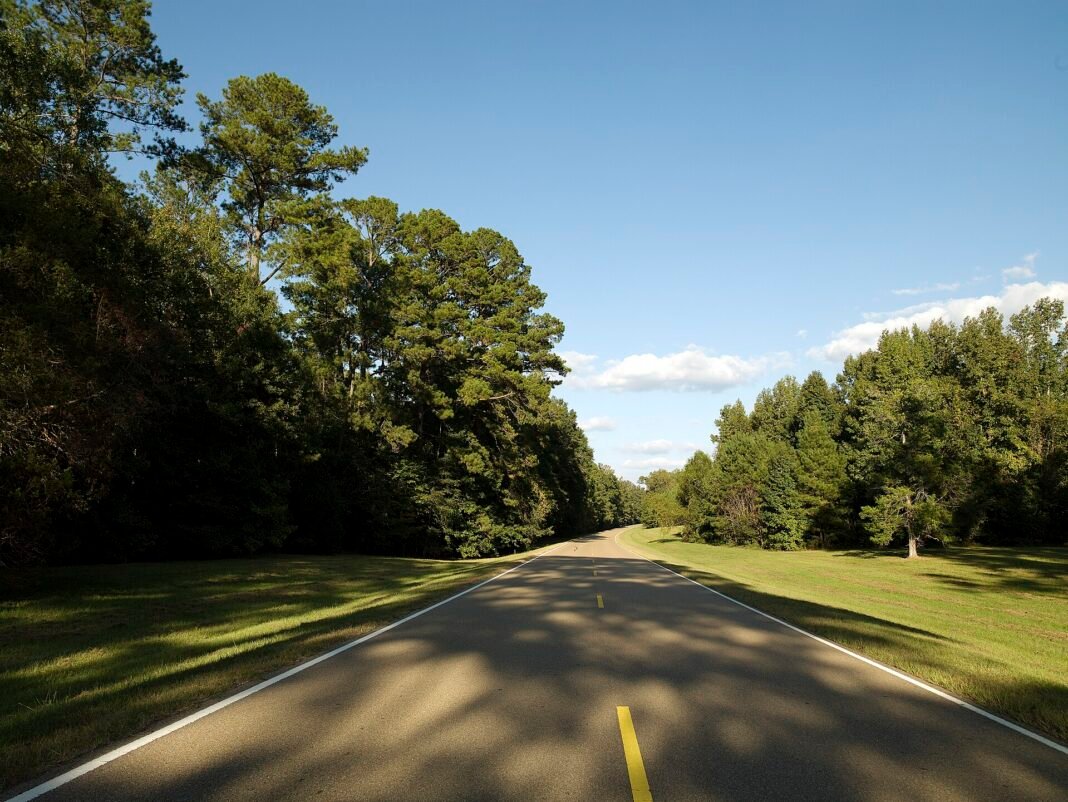Outdoor Activities in Mississippi 2026: River, Delta, and Gulf Natchez Trace Parkway Mississippi two-lane road curving through green pine and hardwood forest under blue sky