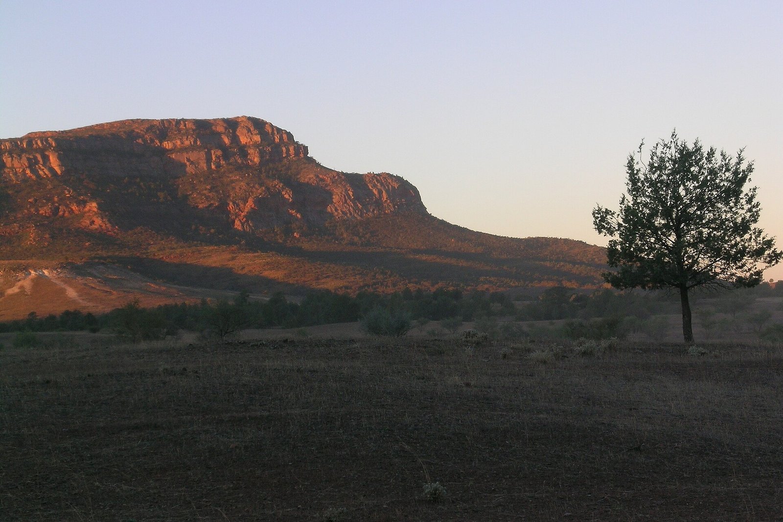 Quartzite ramparts of Wilpena Pound glowing at sunset, Rawnsley Bluff, Flinders Ranges, South Australia