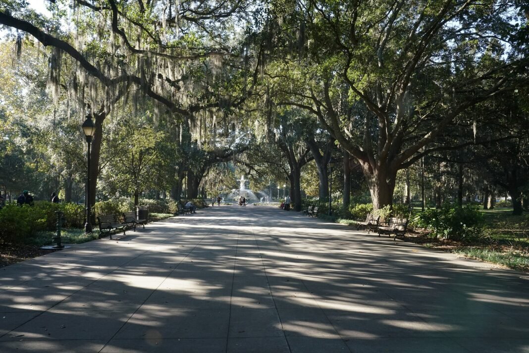Best Places to Visit in Georgia: Savannah, Atlanta, the Golden Isles and More Tree-lined promenade in Forsyth Park Savannah Georgia under live oaks draped with Spanish moss