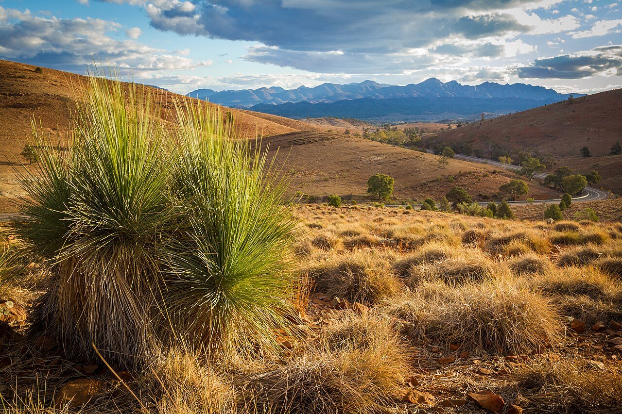 Wilpena Pound and the Flinders Ranges peaks north of Adelaide, South Australia — red rock mountain country and golden spinifex, an outback hidden gem